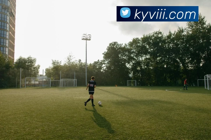 快盈VIII官网平台生态图